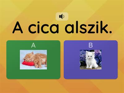 Mit csinálnak az állatok? 1