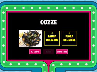 FLORA E FAUNA DEL MARE