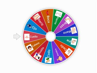 Partes externas del cuerpo