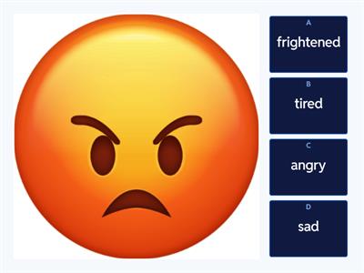 EF Elementary 2C. Feelings 