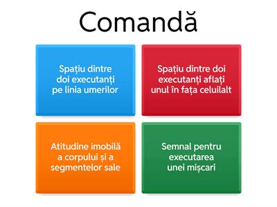 Organizare a activităților motrice (Evaluare_Clasa a V-a)