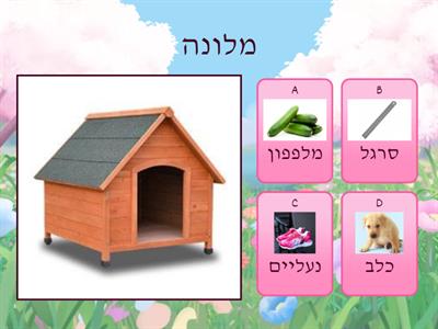   סט 4 תמונות תרגול  ל' - אסוציאציות