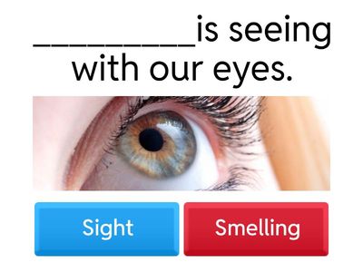 History for Semester 2