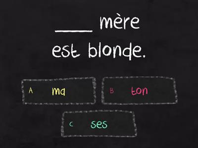 Les adjectifs possessifs (A1)