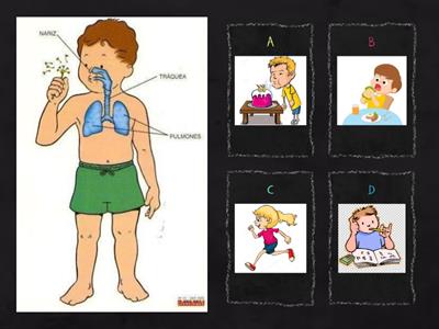 funciones del cuerpo humano