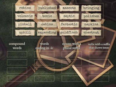 Unit 5 Lesson 6 Wilson Just Words Extended Practice with review from Lesson 1 -5 