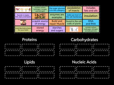  Biomolecules