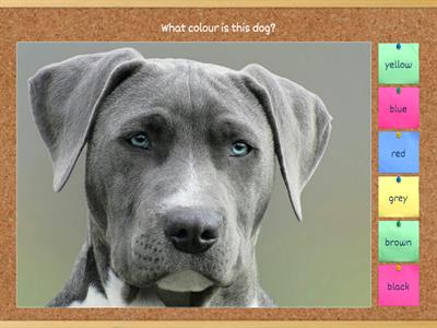 What colour is this/ that.....?