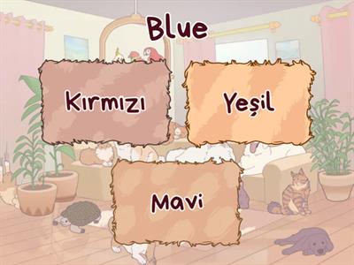 2. Sınıf İngilizce Renkler