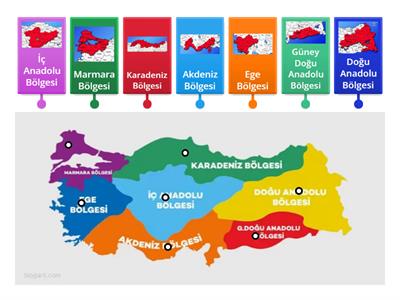 ŞANSEL ÖĞRETMEN -ÖZEL EĞİTİM-DİSLEKSi Türkiye'nin Bölgeleri