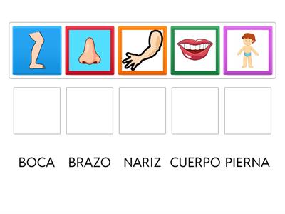 ¿QUÉ PARTE DEL CUERPO ES?