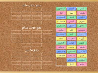 نوع الجمع (مذكر سالم / مؤنث سالم / تكسير)