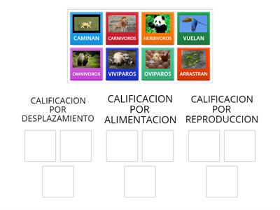 CALIFICACION DE ANIMALES