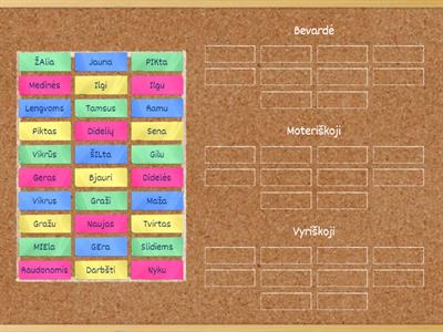 Būdvardžio giminės 5 klasė