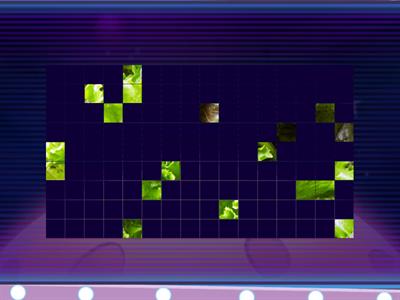 1º ESO VOCABULARY (6)