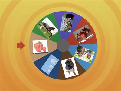 Big or Small or Medium