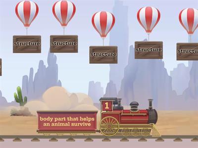 Animals Structure Function