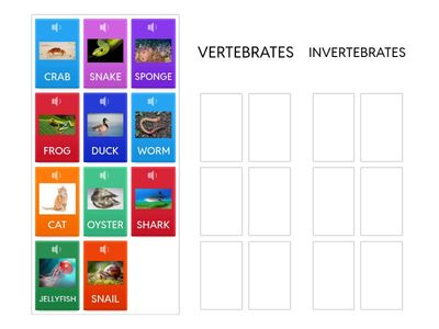 ANIMAL CLASSIFICATION