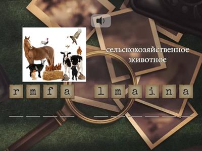 English 5 класс Animal world Буквотряссс + ЗВУК