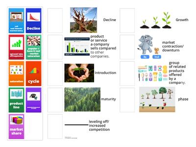 C1 PRODUCT LIFE-CYCLE 