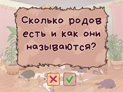 Русский язык 2 класс 