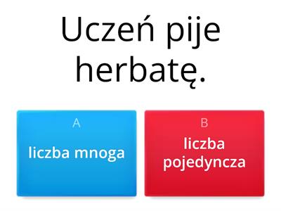 Liczba pojedyncza i mnoga