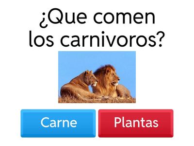 Animales e Higiene bucal