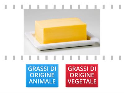 GRASSI ANIMALI E VEGETALI