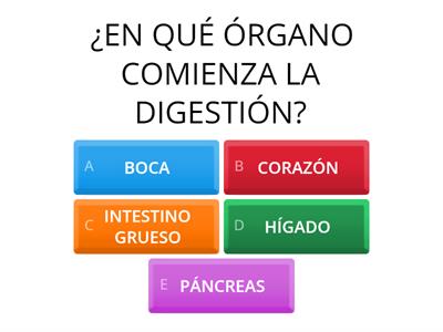 Anatomía y Fisiología del Sistema Digestivo