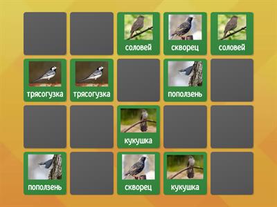 Птицы Беларуси