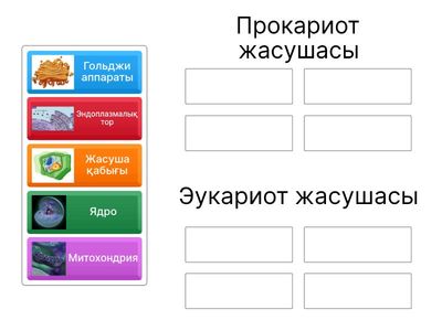 Жасушалар құрылымын анықта