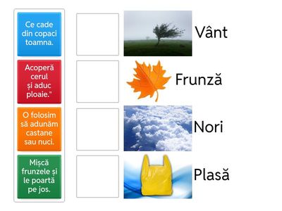 GĂSEȘTE PERECHEA DE TOAMNĂ