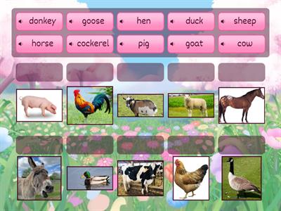 Farm animals