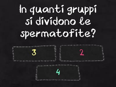 QUIZ SPERMATOFITE FIORI E FRUTTI