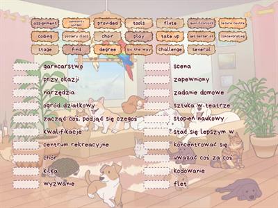 Life Vision a2/b1 5.5