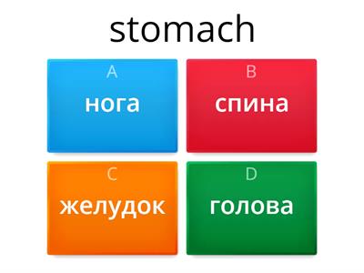 Unit 5 Кузовлев 6 класс