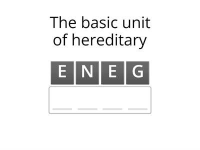 Divide & Decode: Cell Scramble Challenge