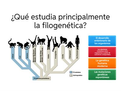 EVOLUCIÓN - 5TO DE SEC.