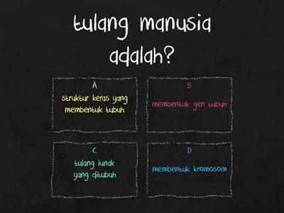 tulang tulang manusia