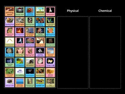 Physical and Chemical Changes (5.P.2.3)