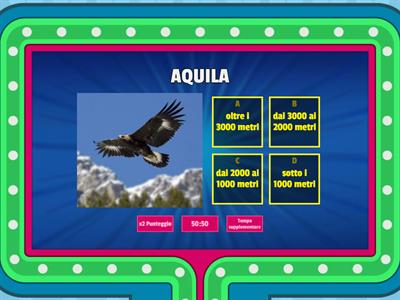 FLORA E FAUNA MONTAGNA 