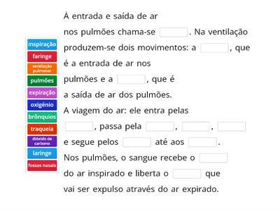 Sistema respiratório