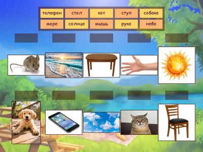 Существительные РКИ (уровень А1)