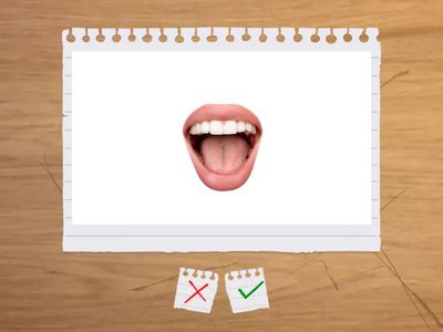 VOCABULARY REVIEW - units 10, 11, 12