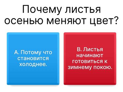 Без Названия1