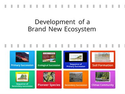 Primary and Secondary Succession