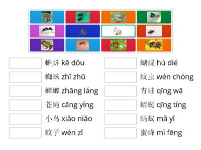 17-欢乐伙伴2A-10.1昆虫