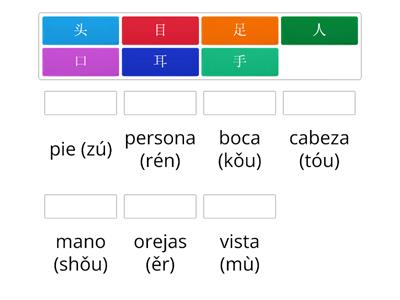 Partes del cuerpo humano en chino