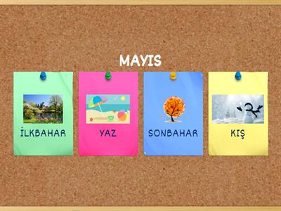 Mevsimler- Aylar Test