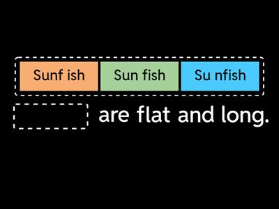 WRS 3.1 Complete the Sentence - syllable division